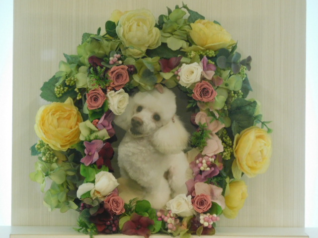 DSCN3804.JPG