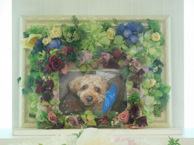 DSCN3818.JPG