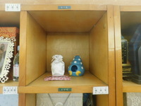 水戸市ハムスターマシュマロちゃん