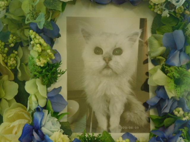 DSCN3907.JPG