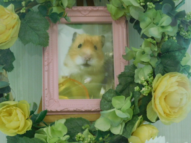 DSCN3935.JPG