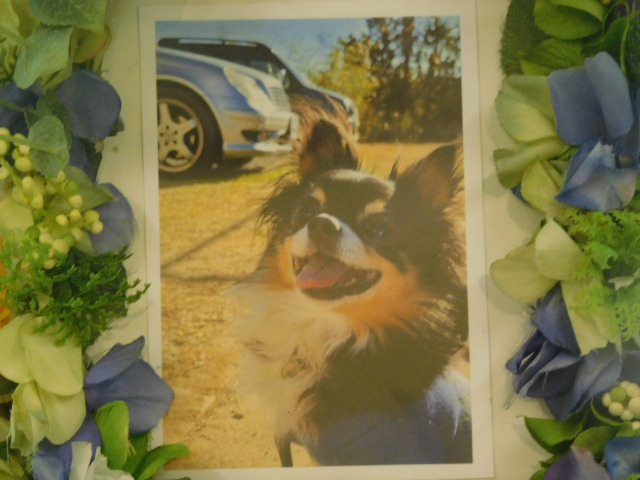 DSCN3969.JPG