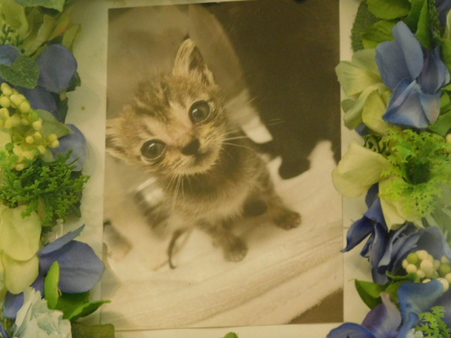 DSCN3971.JPG