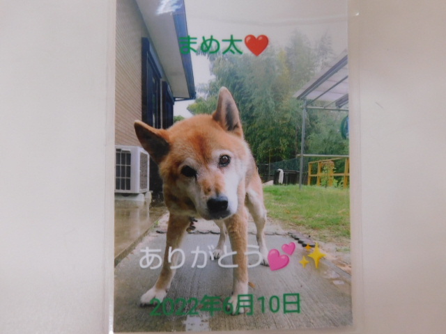 DSCN3977.JPG
