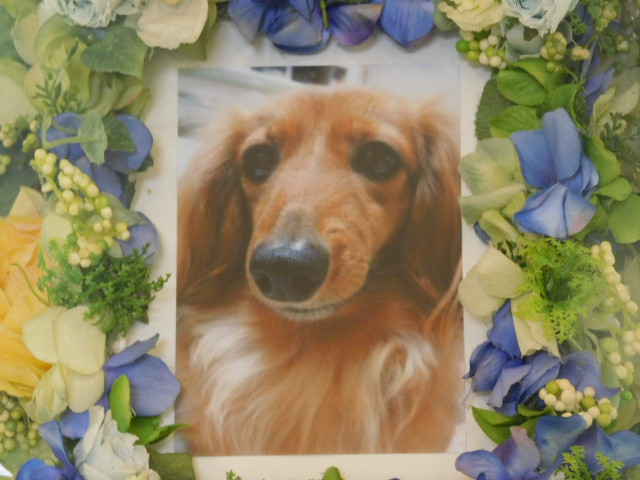 DSCN3978.JPG