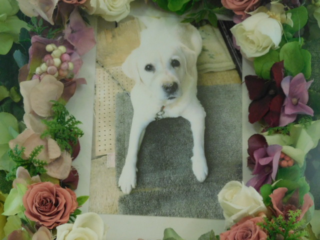 DSCN4040.JPG