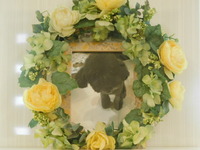 東海村愛犬そらちゃん