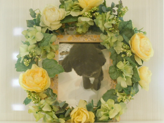 DSCN4109.JPG