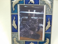 水戸市愛猫ちーちゃん