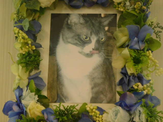 DSCN4249.JPG