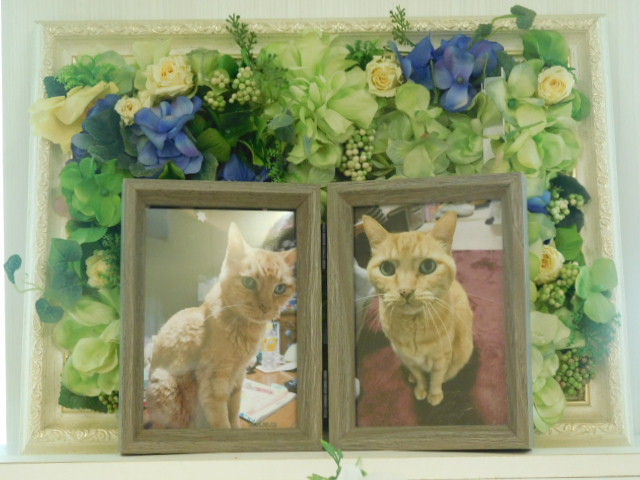 DSCN4265.JPG