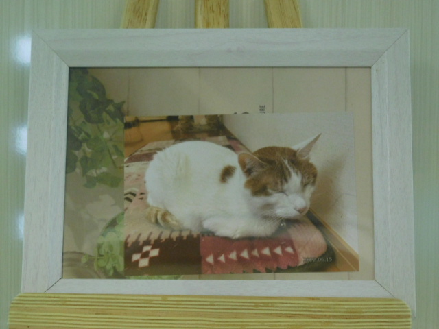 DSCN4292.JPG