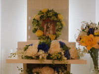 那珂市愛犬小次郎ちゃん