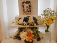 水戸市愛犬モモちゃん