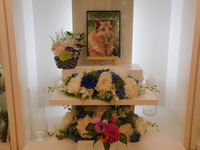 水戸市愛犬ニーナちゃん