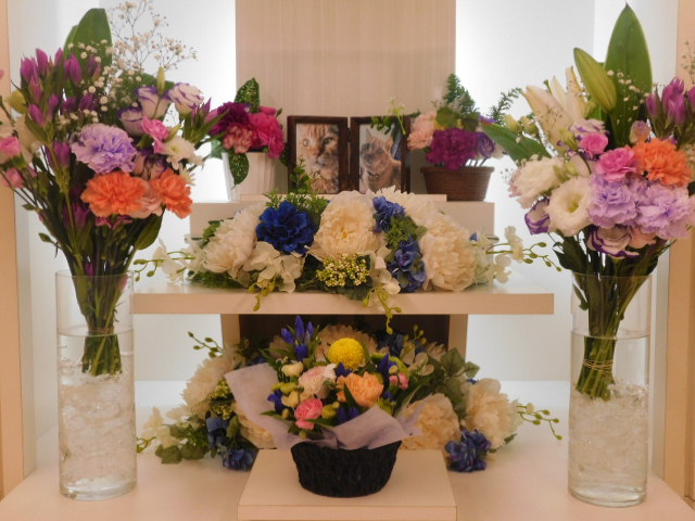 DSCN4371.JPG