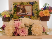 小美玉市愛犬ココちゃん