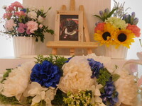 那珂市愛犬クロちゃん