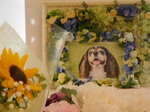 ひたちなか市愛犬キキちゃん