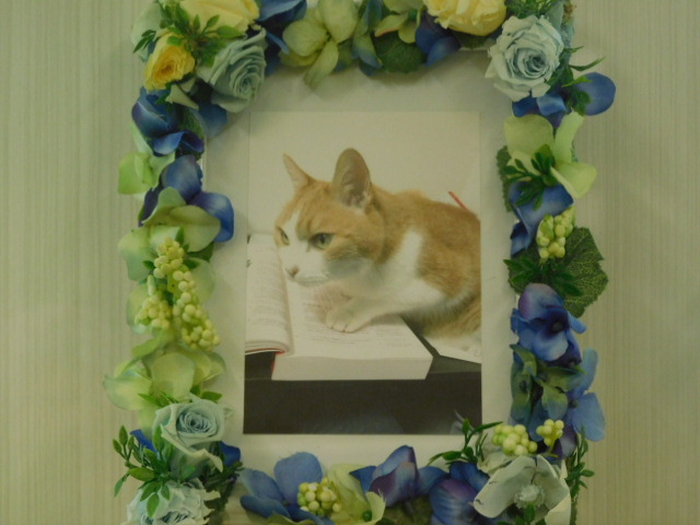 DSCN4637.JPG