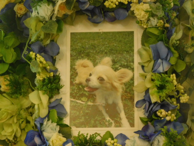 DSCN4639.JPG