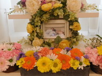 東海村愛犬ロンちゃん