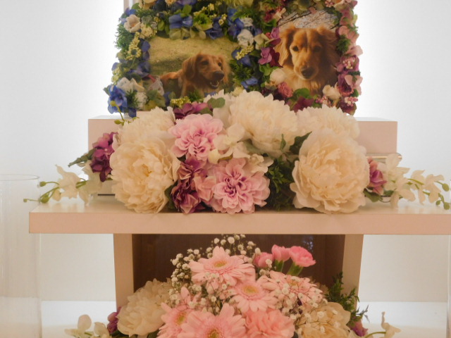 DSCN4724.JPG
