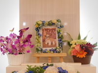 水戸市愛犬ミトンちゃん