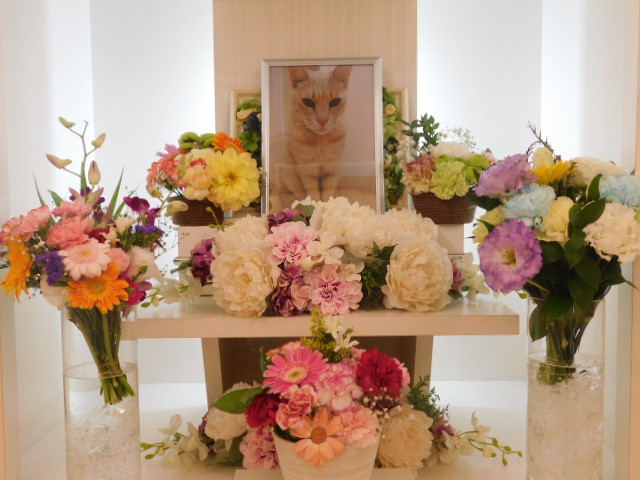 DSCN4751.JPG