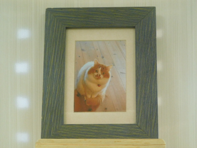 DSCN4754.JPG