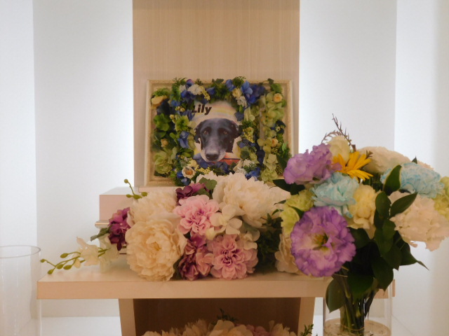 DSCN4757.JPG