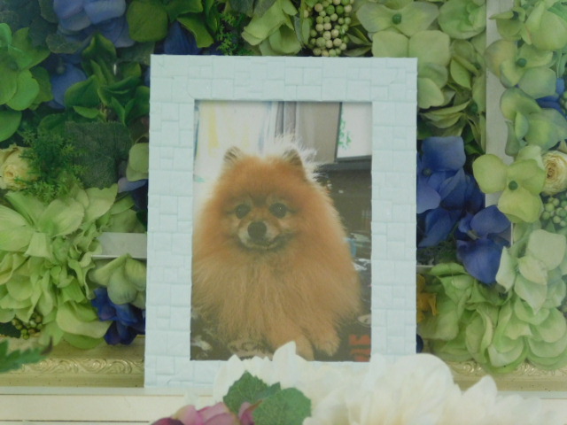 DSCN4762.JPG