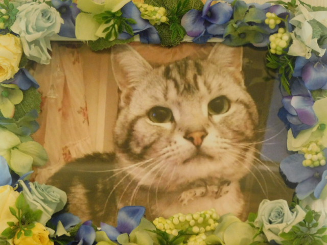 DSCN4771.JPG