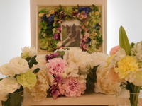 城里町愛犬タックちゃん