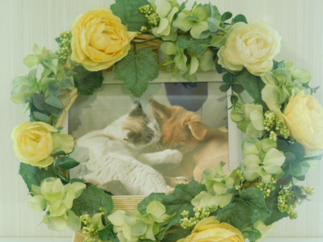DSCN4775.JPG