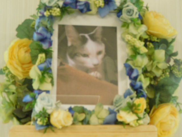 DSCN4776.JPG