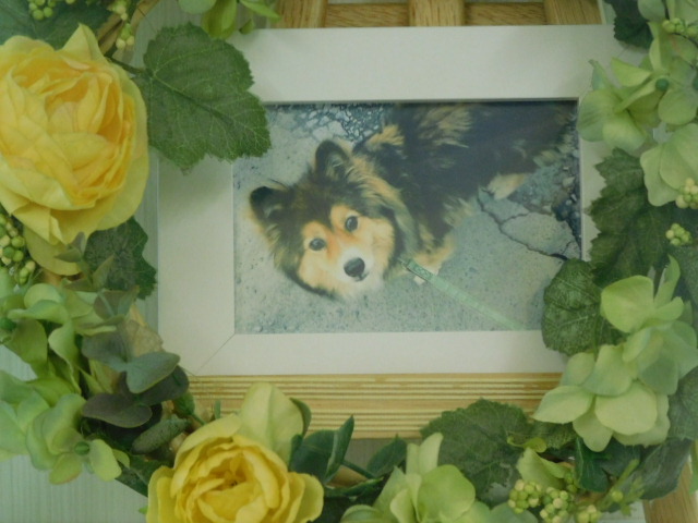 DSCN4819.JPG