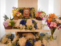 水戸市愛猫クッキーちゃん