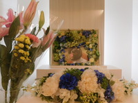 笠間市愛犬リヴちゃん