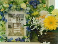 茨城町フクロモモンガ・りりちゃん