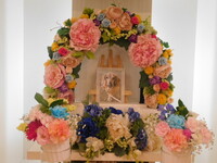 鹿嶋市愛犬マロンちゃん