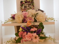 石岡市愛犬優太ちゃん