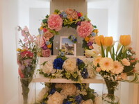 ひたちなか市ハムスターきなこちゃん