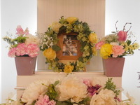 常陸太田市愛猫めいちゃん