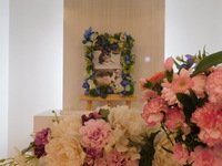 行方市愛猫アキラちゃん