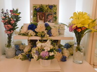 水戸市愛犬チェロちゃん