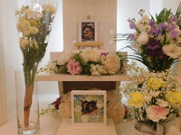 水戸市愛犬ヒメちゃん