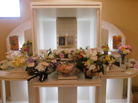 茨城町愛犬茶太郎ちゃん