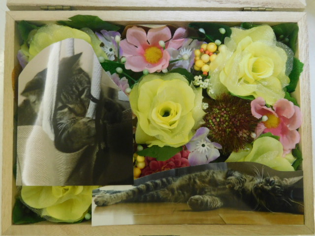 DSCN5170.JPG