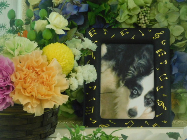 DSCN5218.JPG